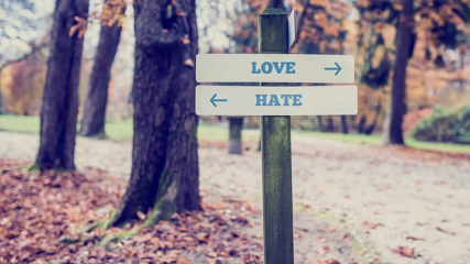 Beyond Enemies: The Case for “Dislike to Love” in Romance Tropes